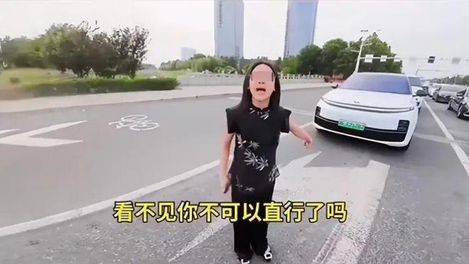 ：女司机气到流产公布完整行车记录仪爱游戏最新河北女司机与骑手冲突后续(图8)